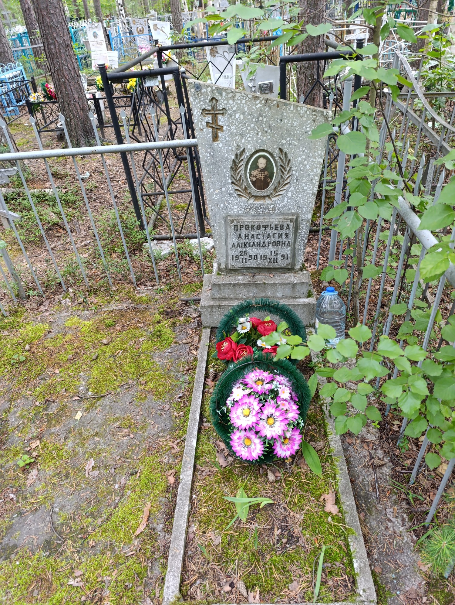 Прокофьева Анастасия Александровна