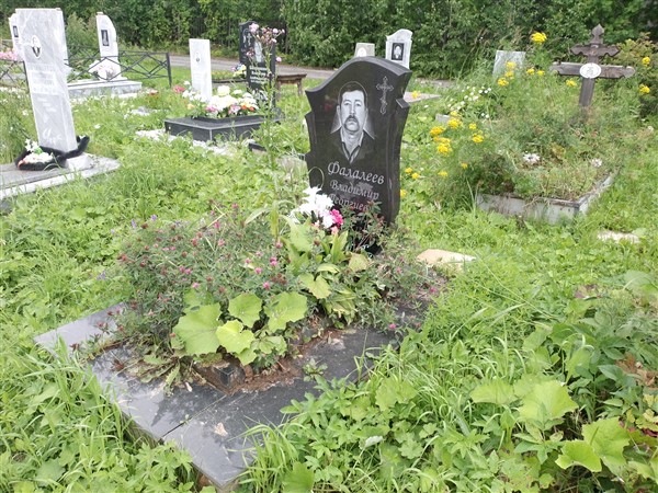 Фалалеев Владимир Георгиевич