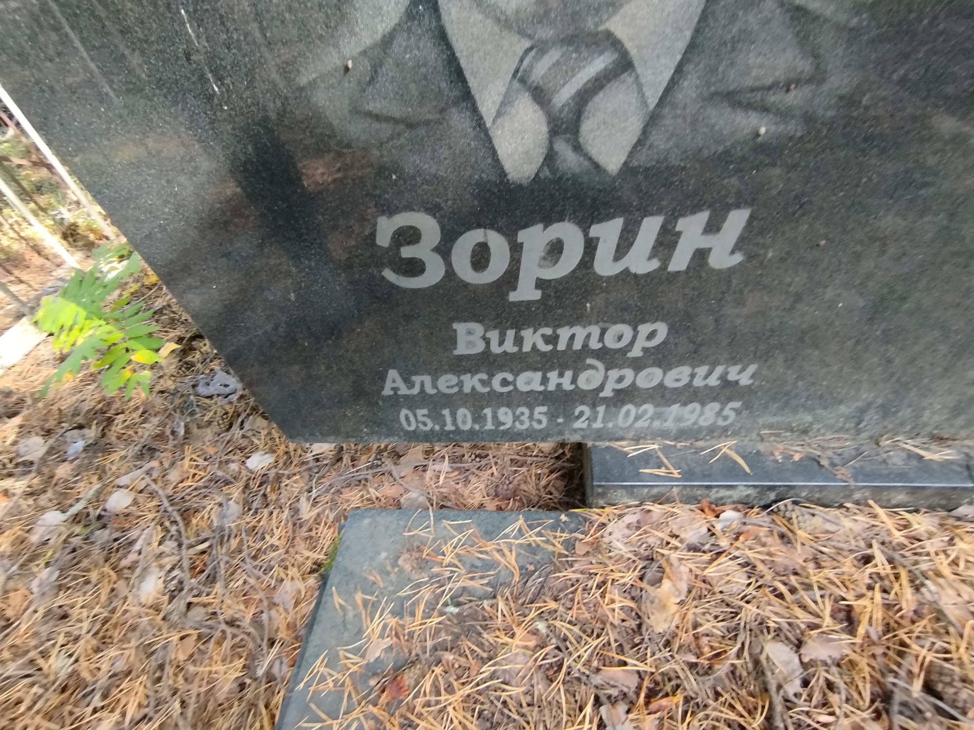 Зорин Виктор Александрович