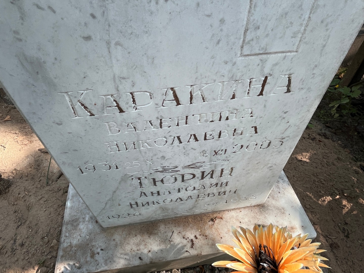 Каракина