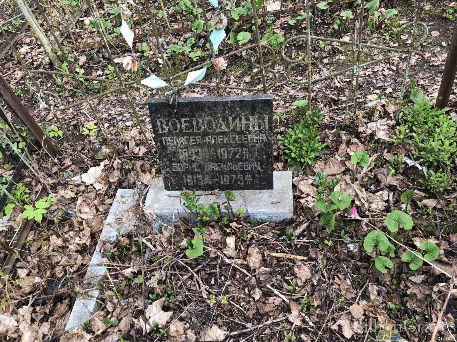 Воеводин Борис Васильевич