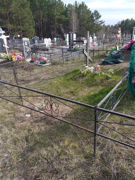 Курчавый Михаил Васильевич