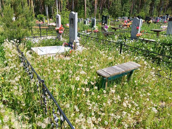 Палаткина Людмила Ильинична