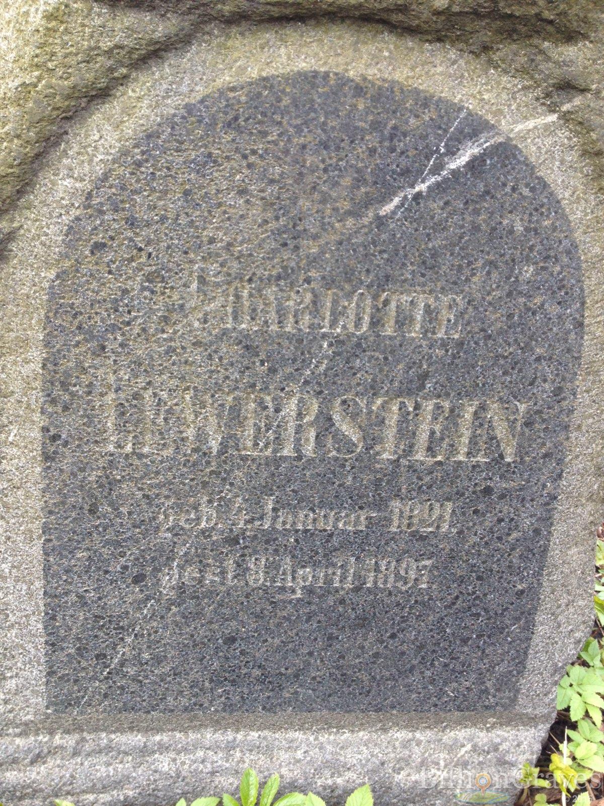 Lewerstein Charlotte