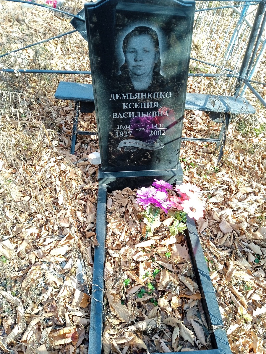 Демьяненко Ксения Васильевна