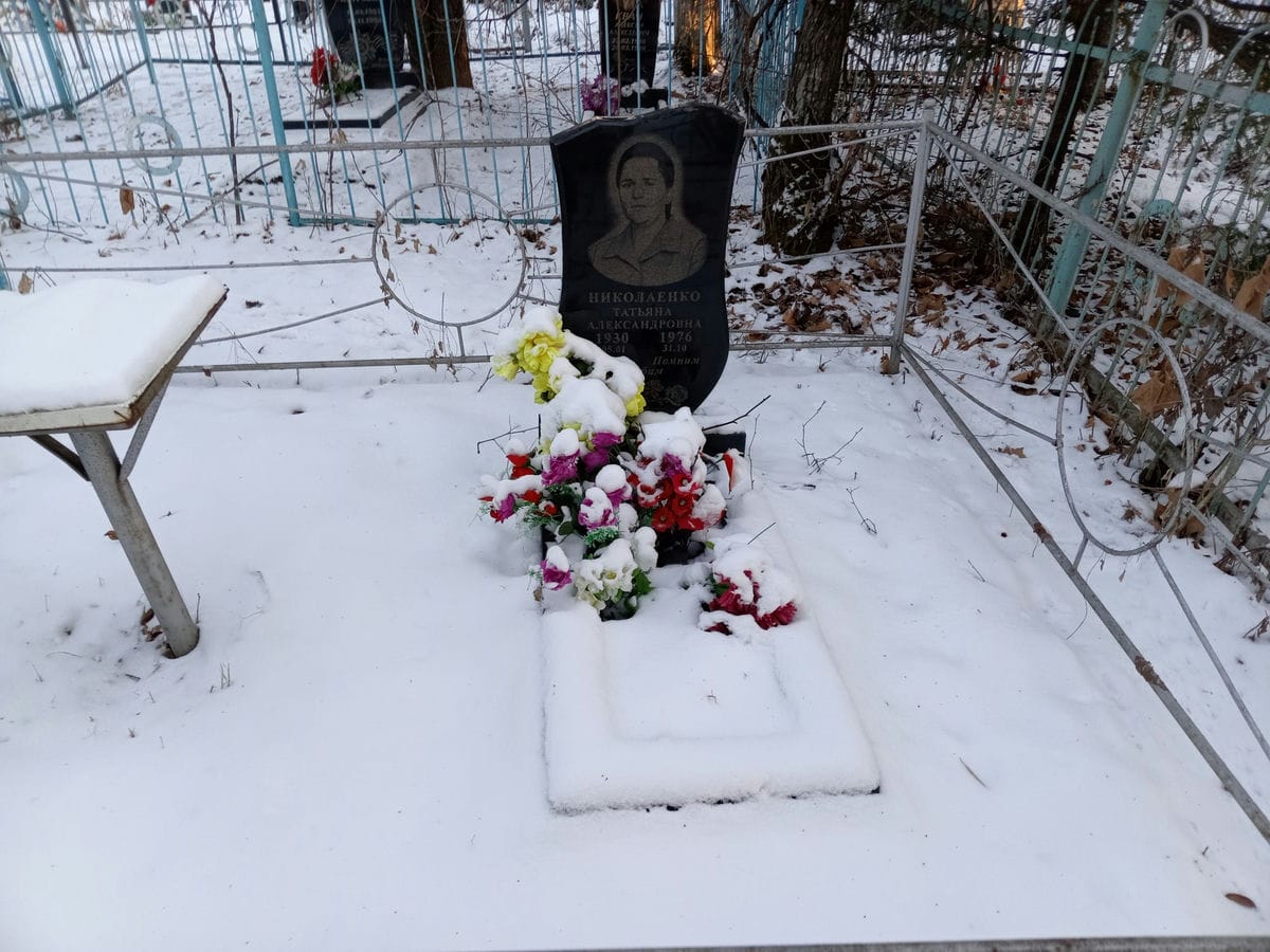 Николаенко Татьяна Александровна