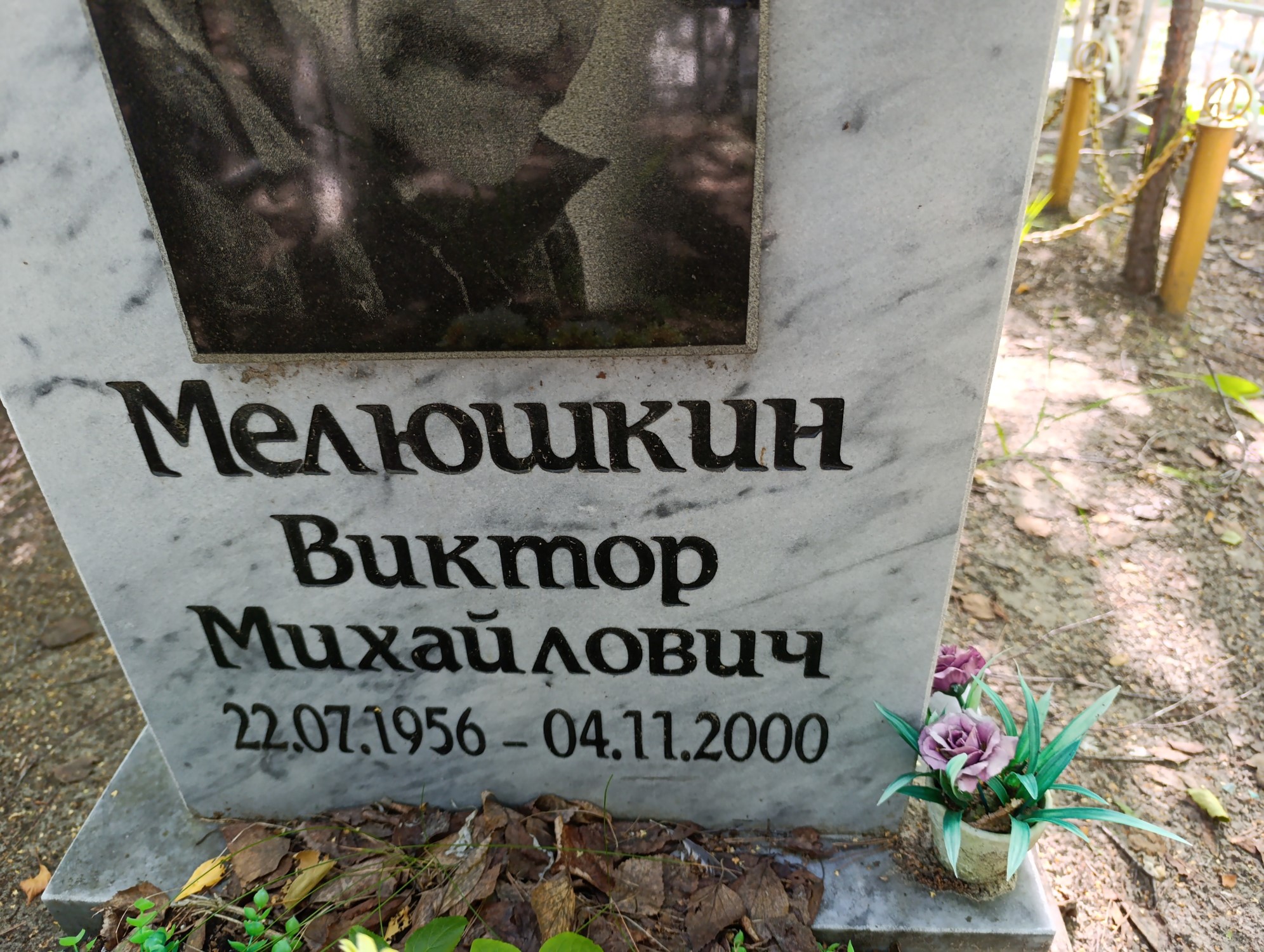 Мелюшкин Виктор Михайлович