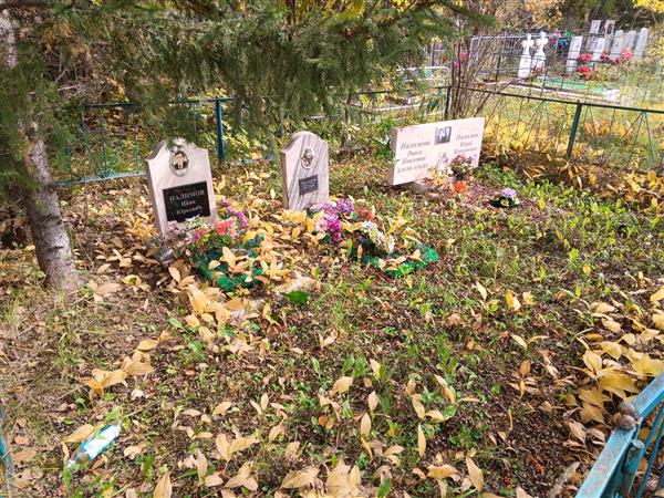 Налимов Иван Юрьевич