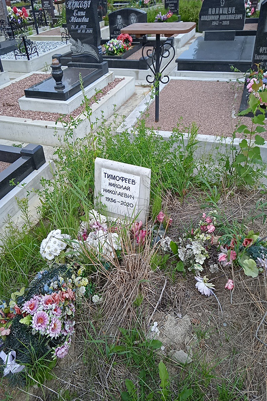 Тимофеев Николай Николаевич