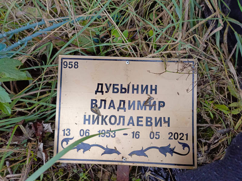 Дубынин