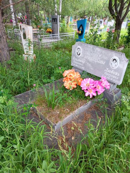 Криницын Владимир Иванович