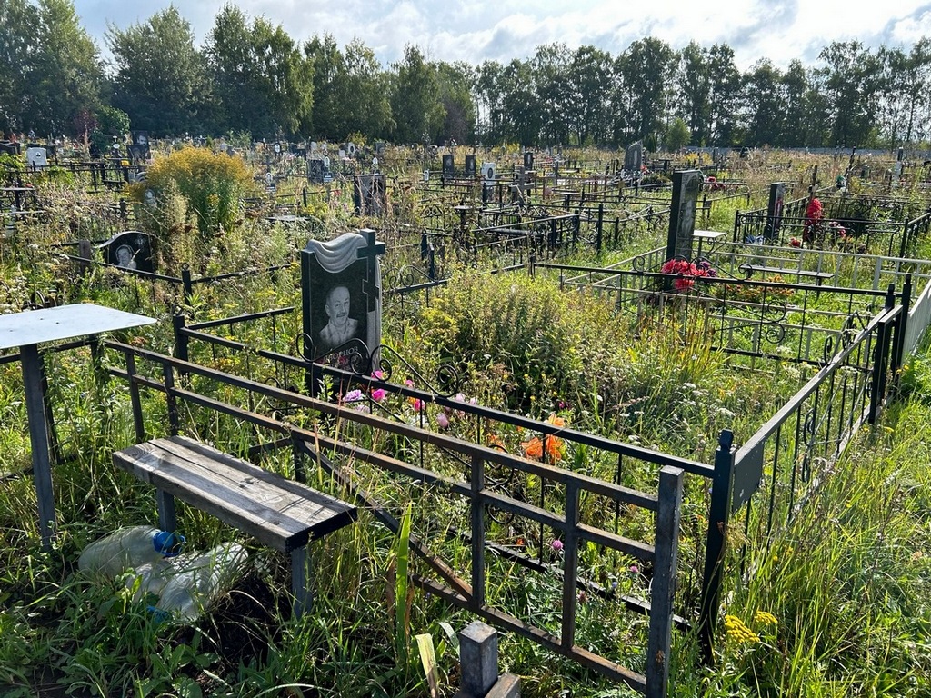 Дворцов Александр Евгеньевич