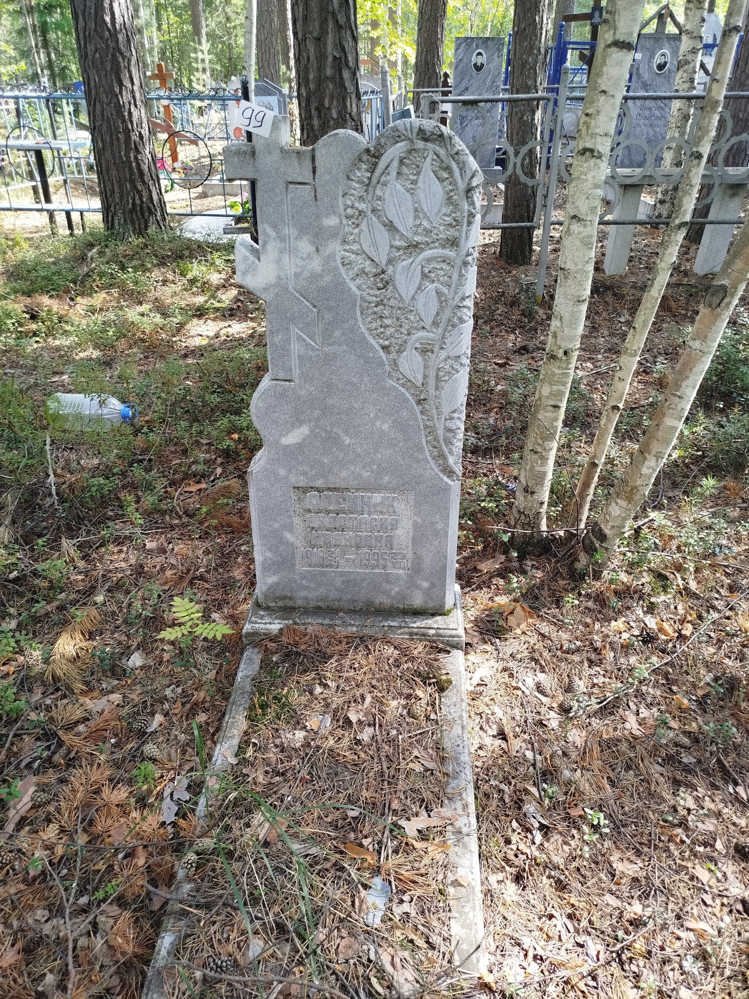 Олейник Анастасия Ивановна