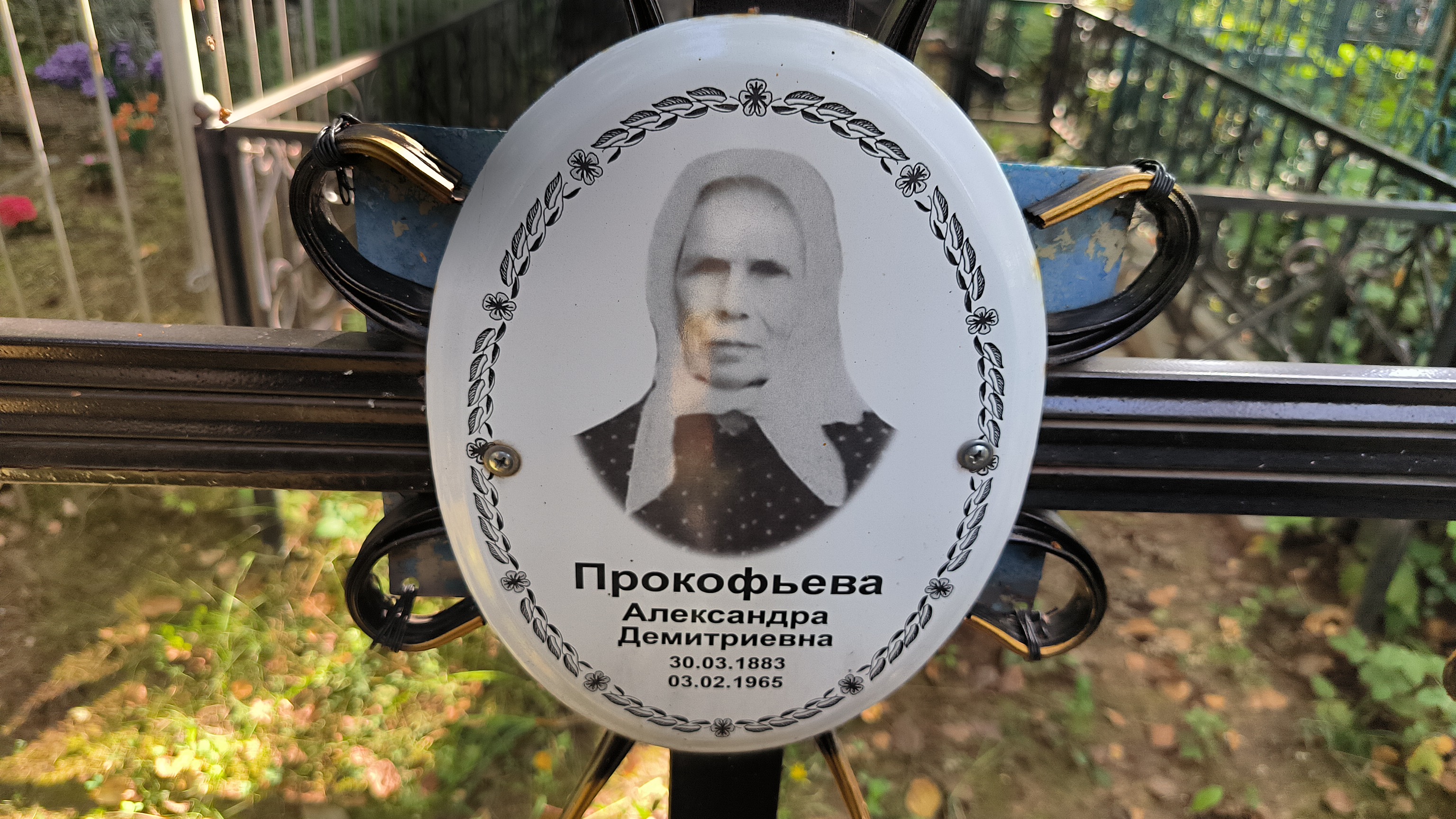 Прокофьева Александра Демитриевна