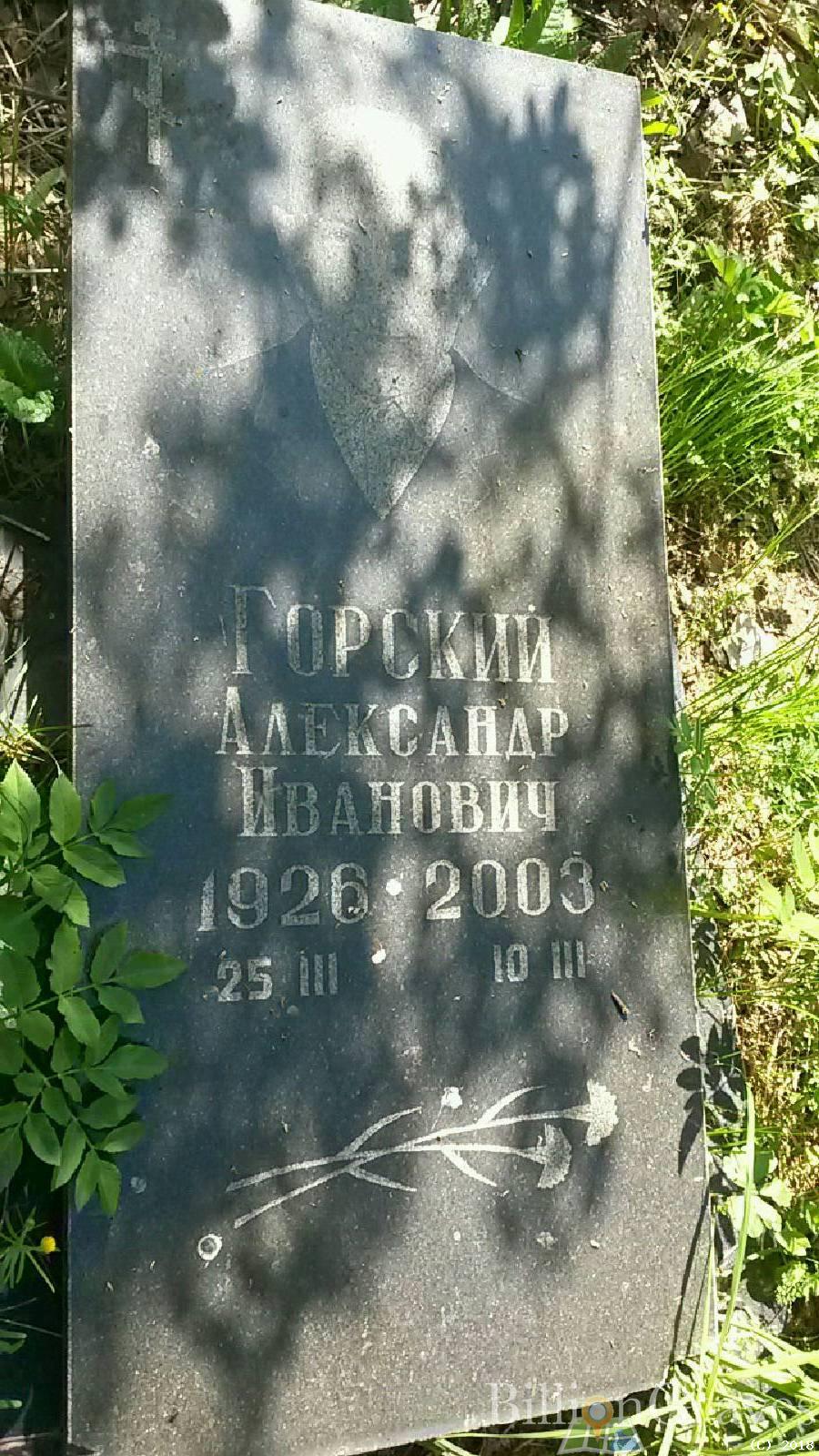 Горский Александр Иванович