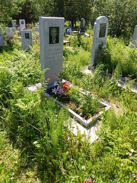 Кравцов Николай Степанович