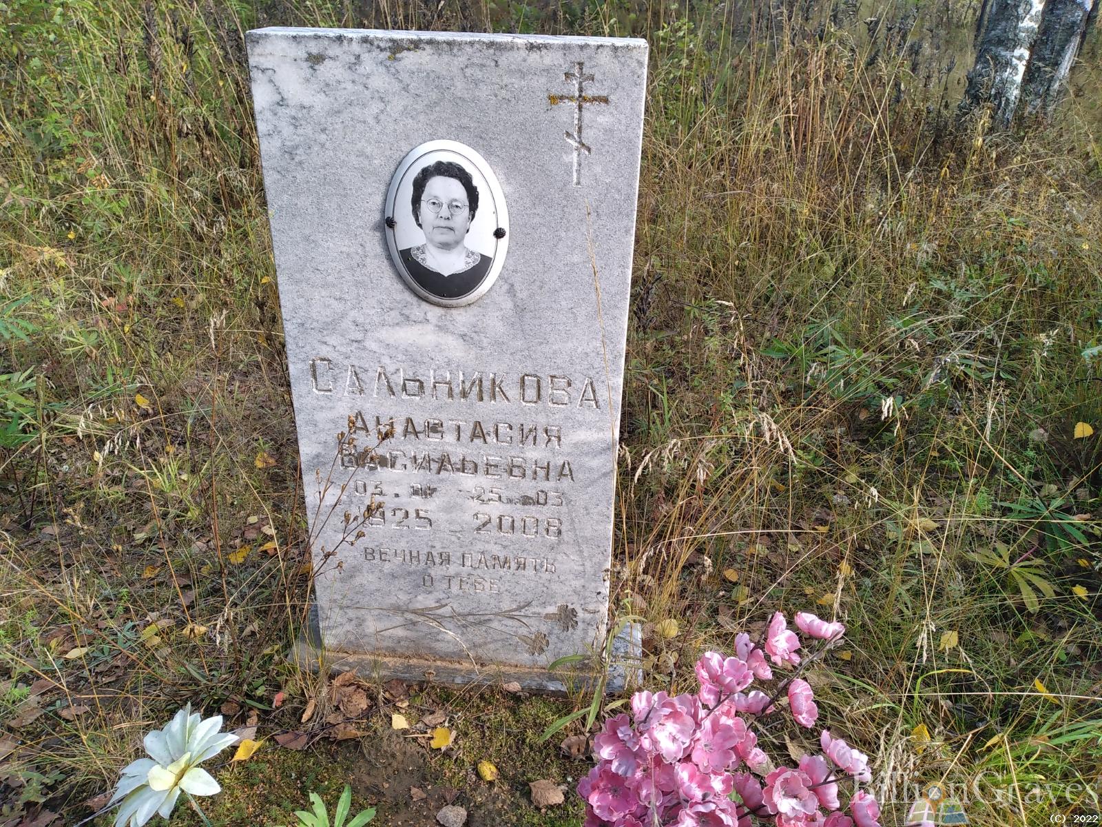 Сальникова Анастасия Васильевна