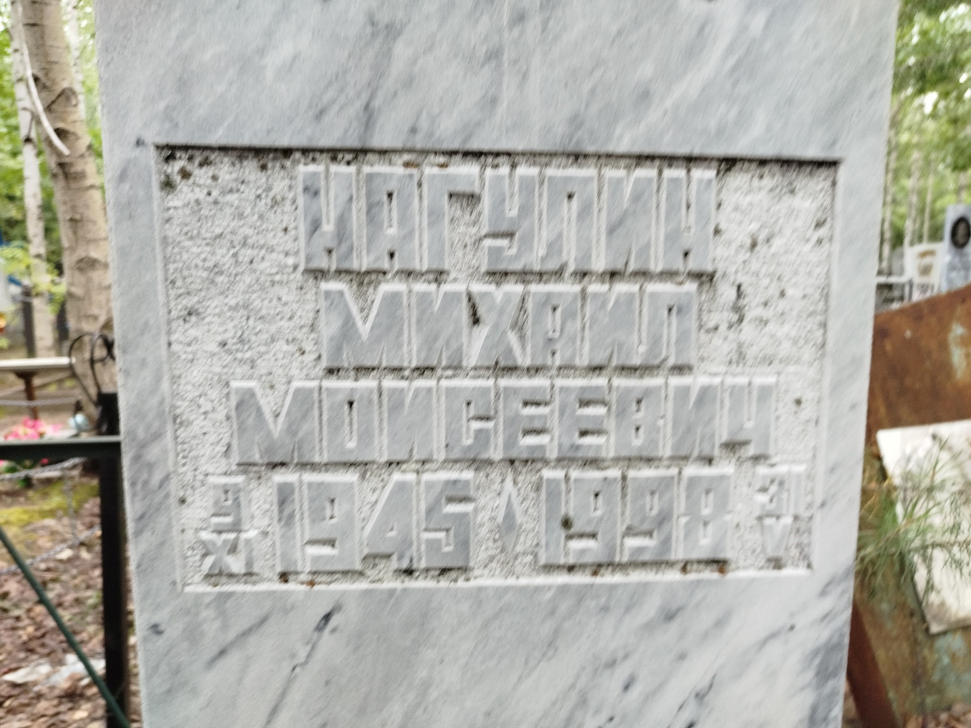 Нагулин Михаил Моисеевич