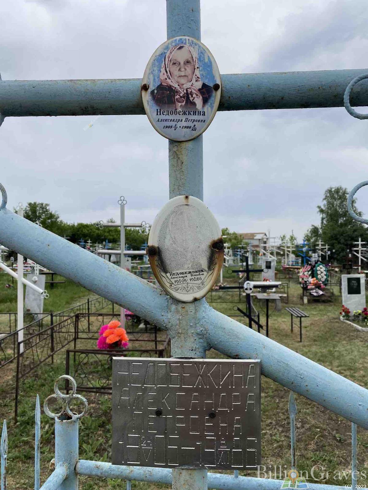 Недобежкина Александра Петровна
