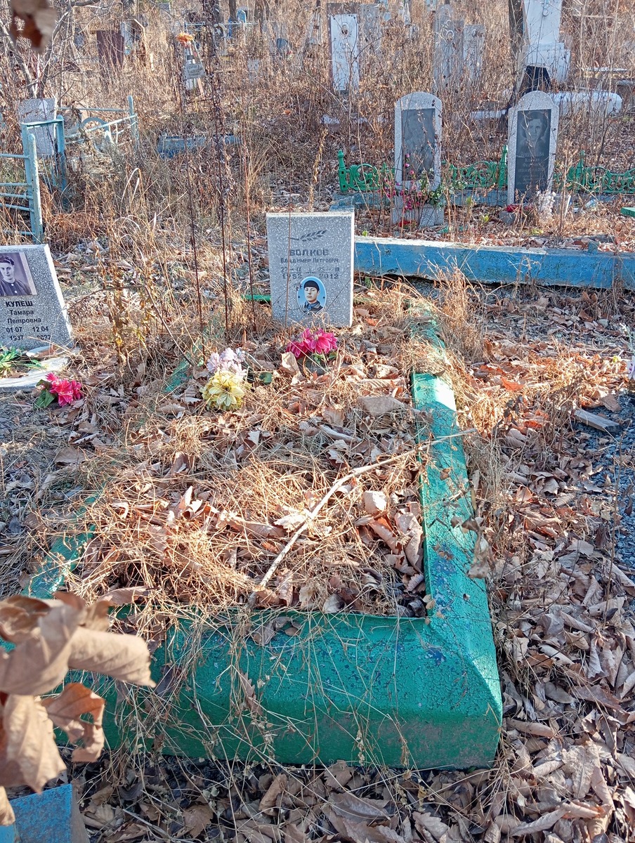 Волков Владимир Петрович