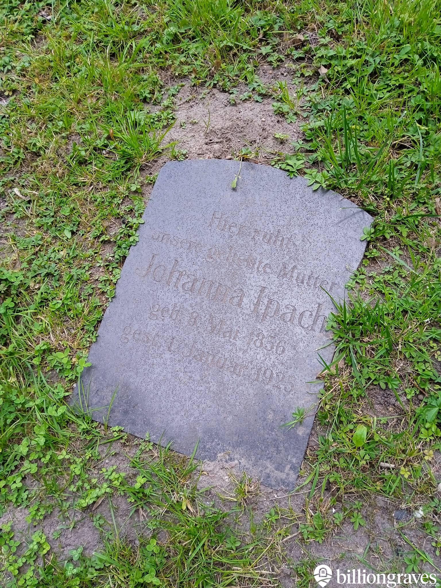 Ipach Johanna