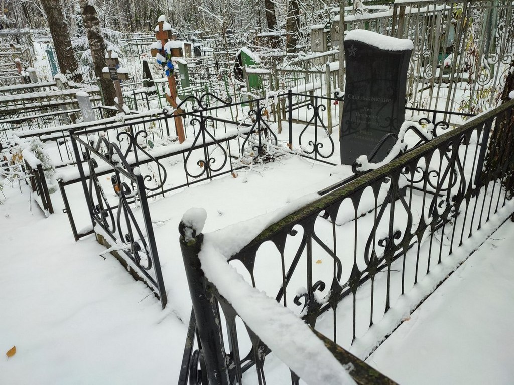 Сидельковский Лев Петрович