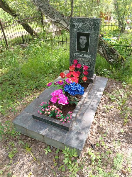 Гильфанов Дмитрий Роданисович
