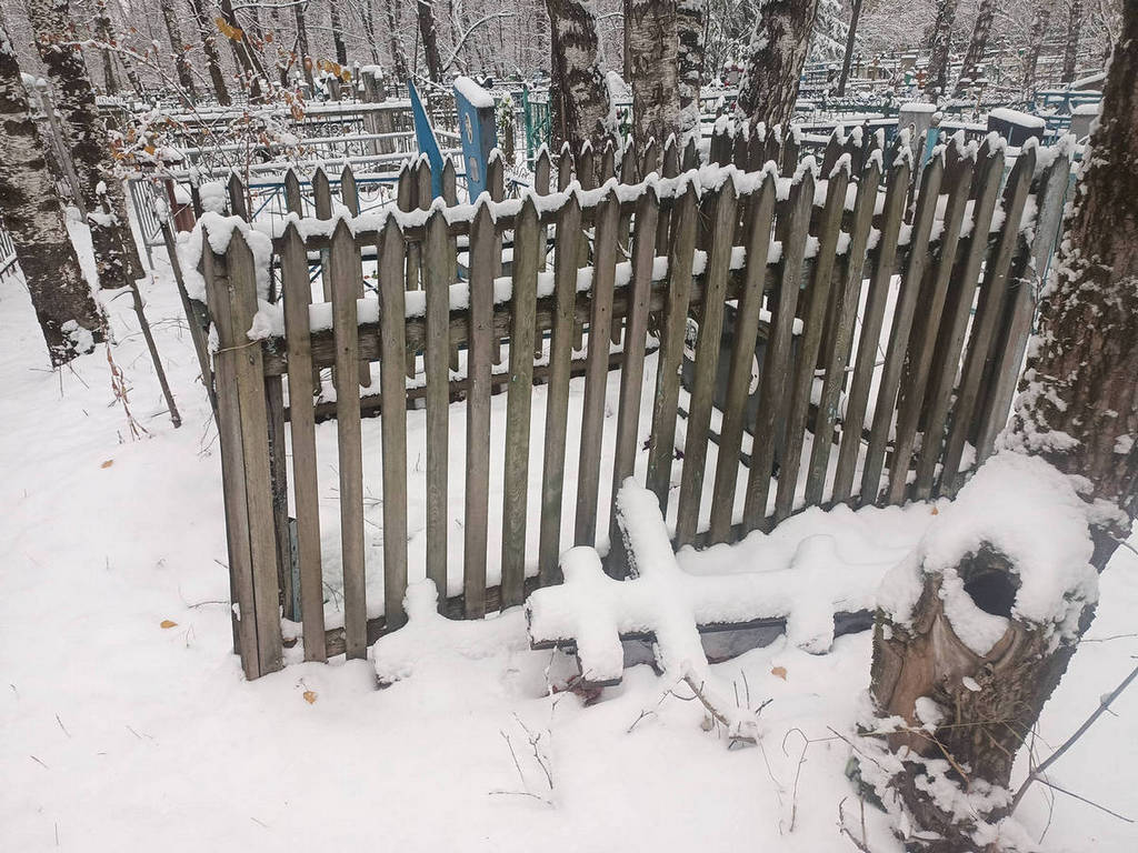 Аргентова Людмила Анатольевна