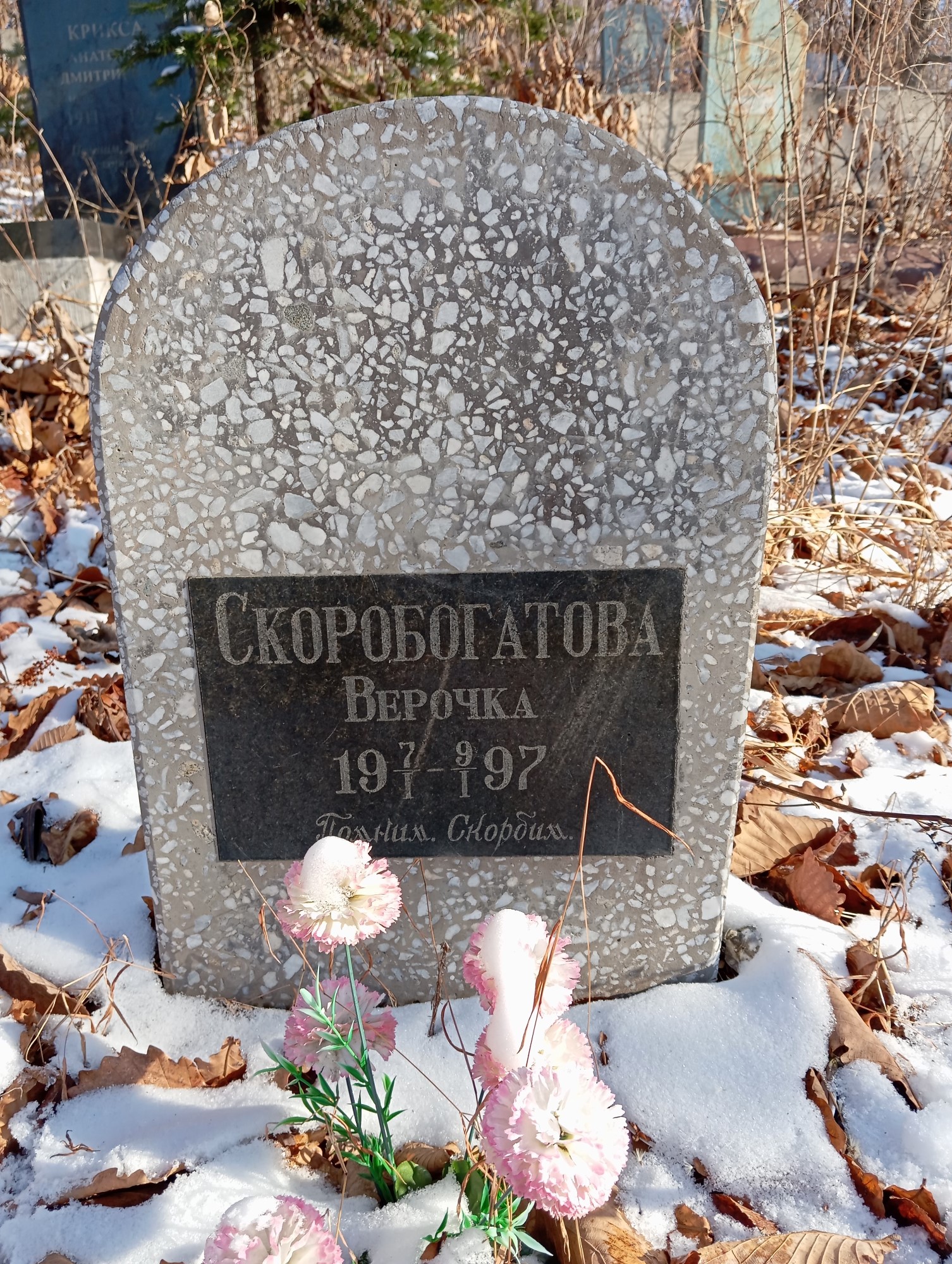 Скоробогатова Верочка