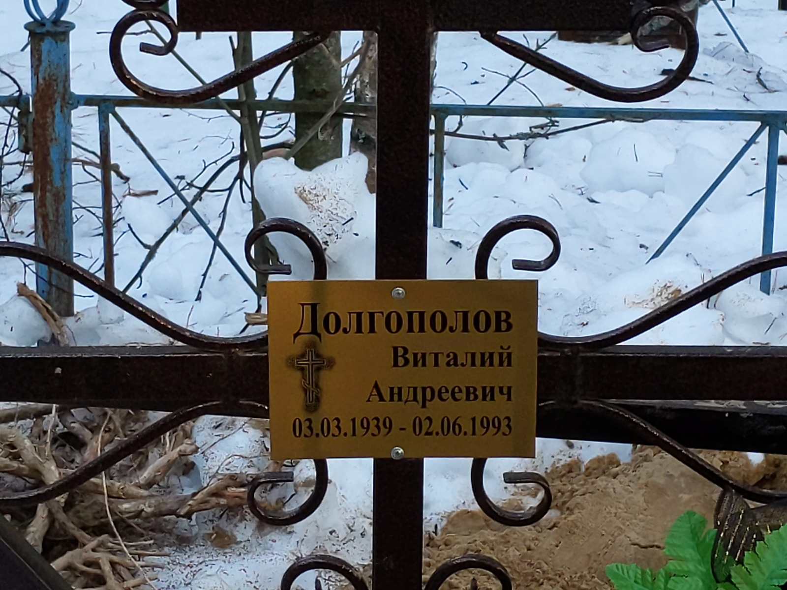Долгополов Виталий Андреевич