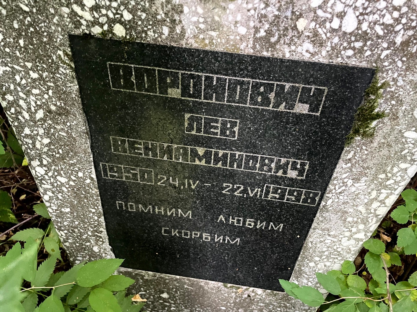 Лев Воронович Вениаминович