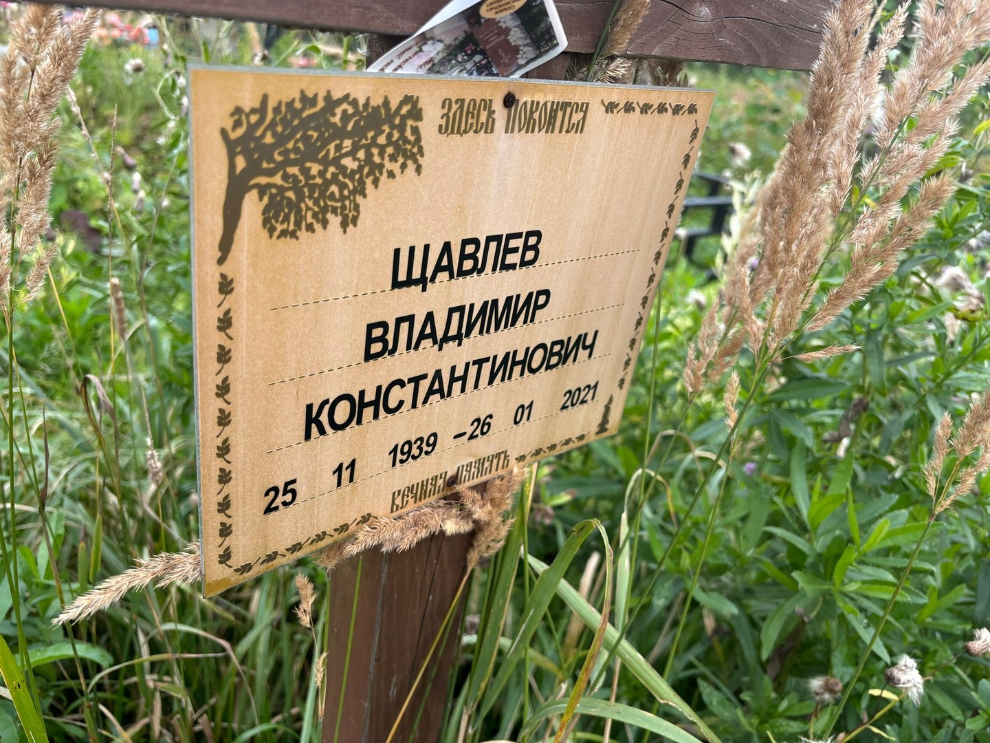 Щавлев