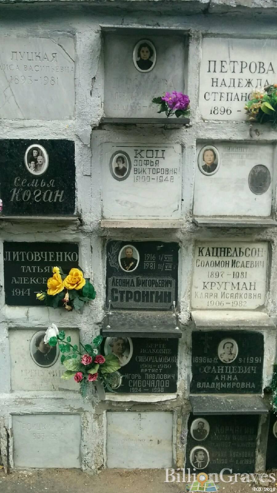 Васюченко Марина Михайловна