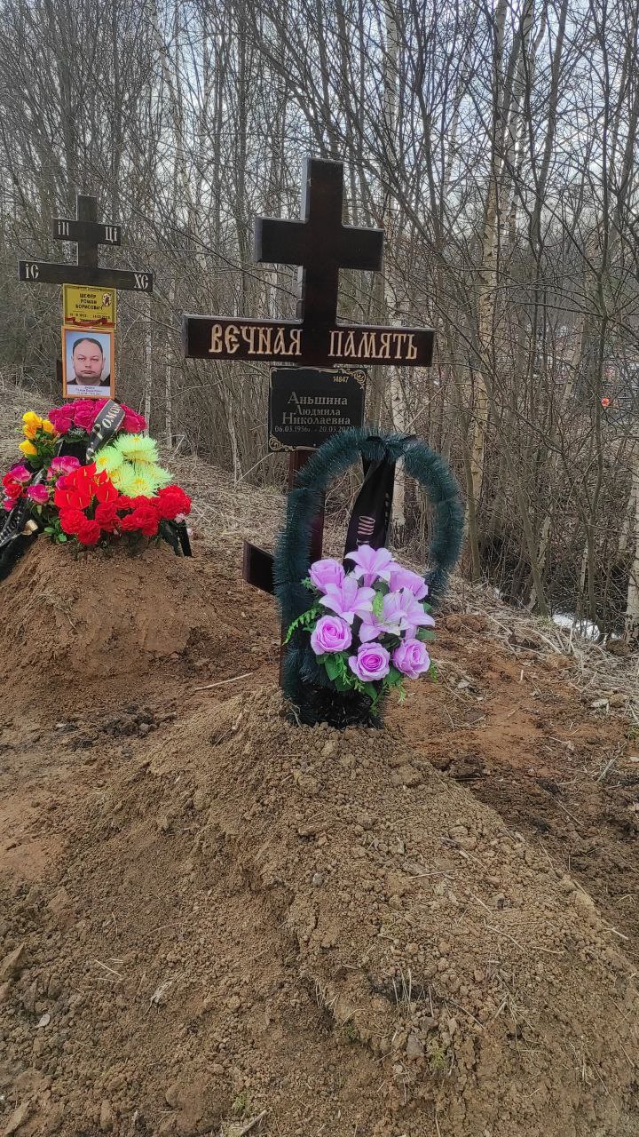 Аньшина