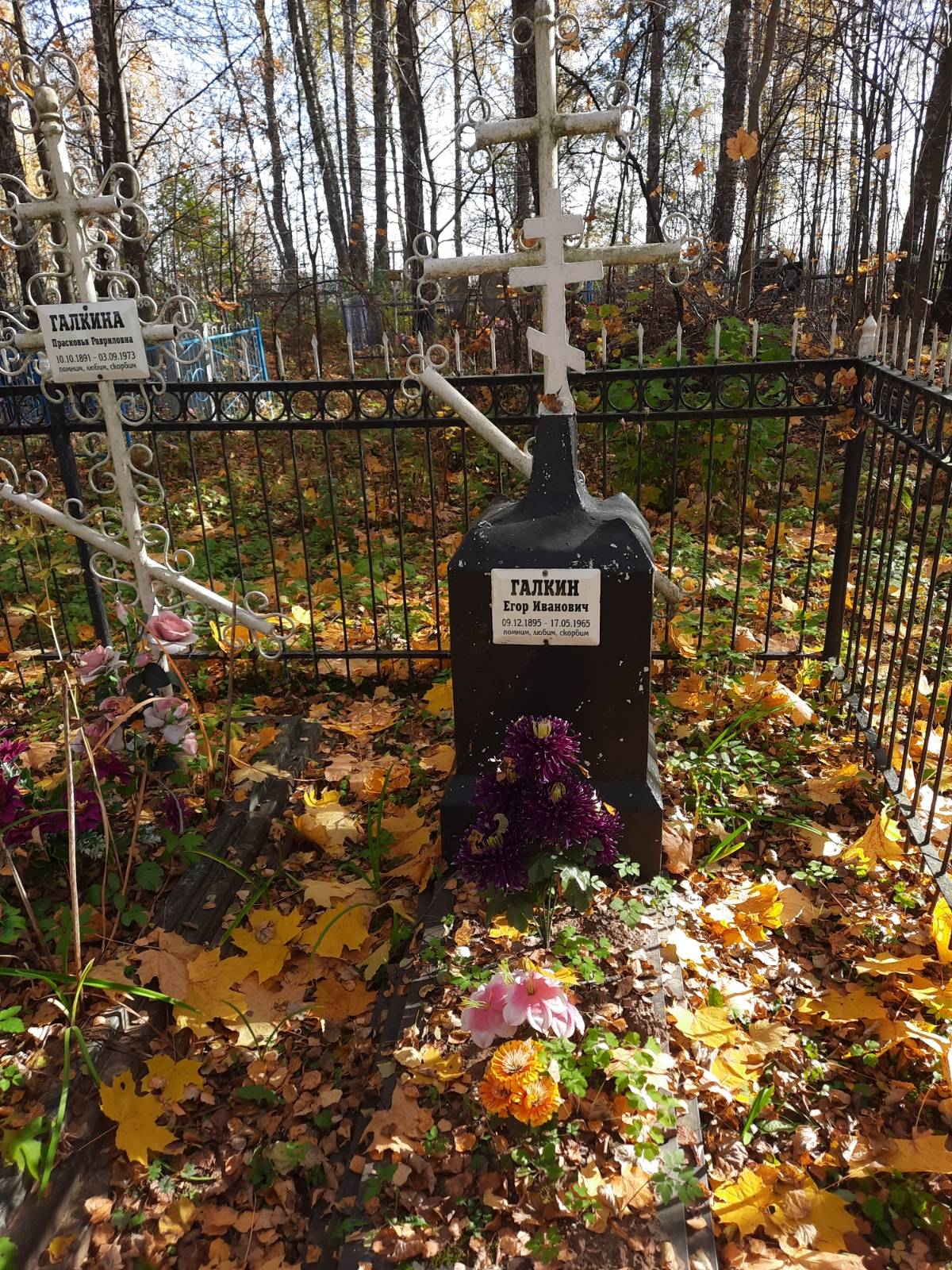 Галкин Егор Иванович