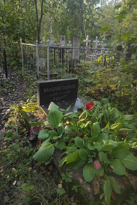 Павлов Э. В.