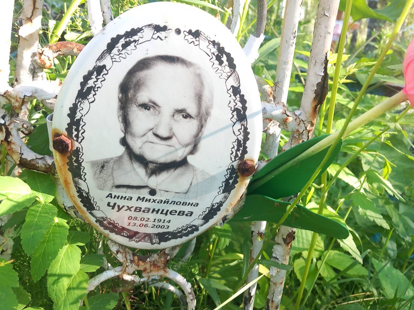 Чухванцева Анна Михайловна