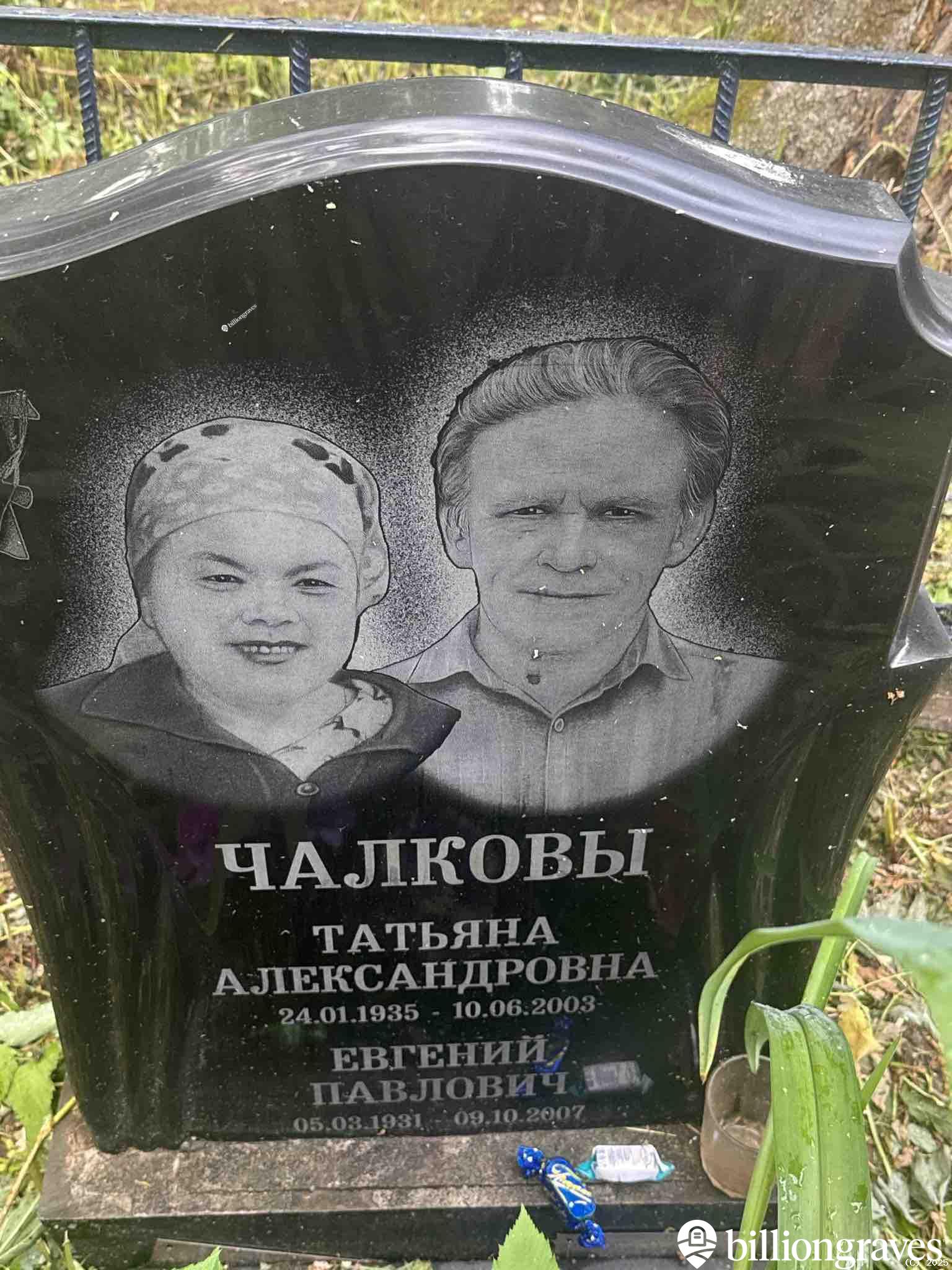 Чалкова Татьяна Александровна