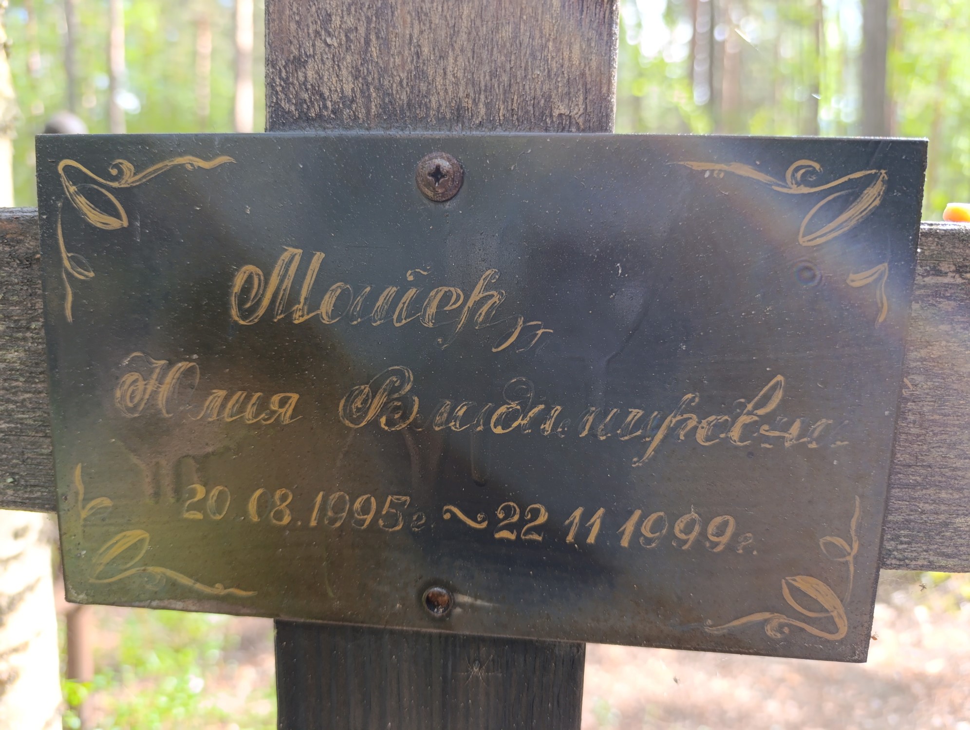 Майер Юлия Владимировна