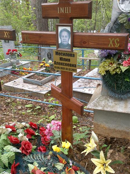Месилова Юлия Алексеевна