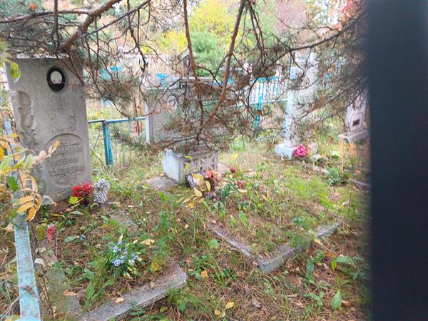 Демешко Владимир Антонович