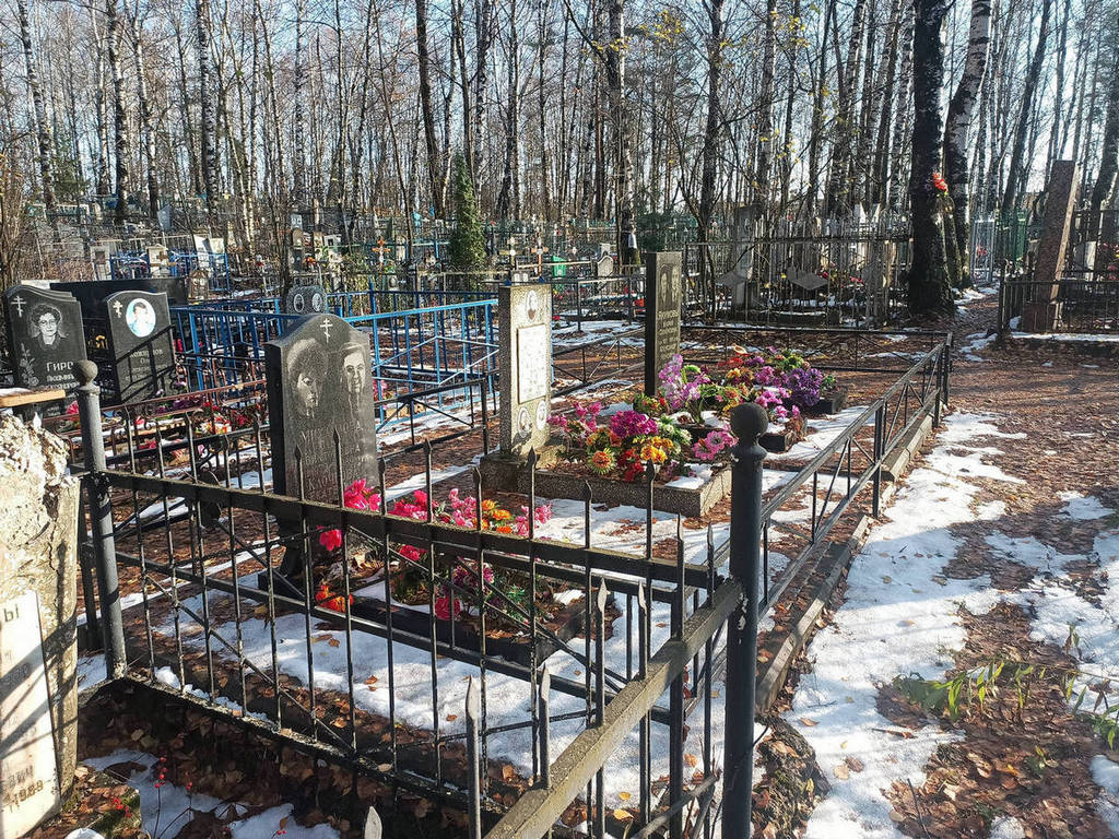 Михайлова Ольга Викторовна