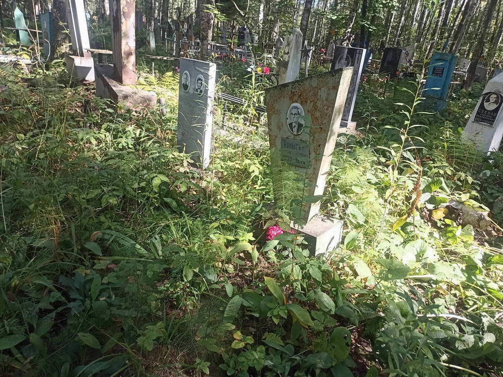 Коныгин Николай Петрович
