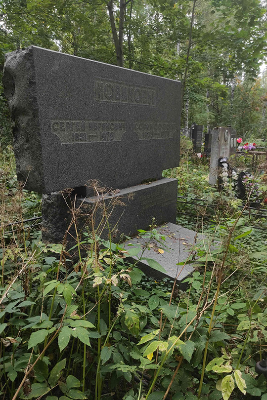 Новиков Сергей Абрамович
