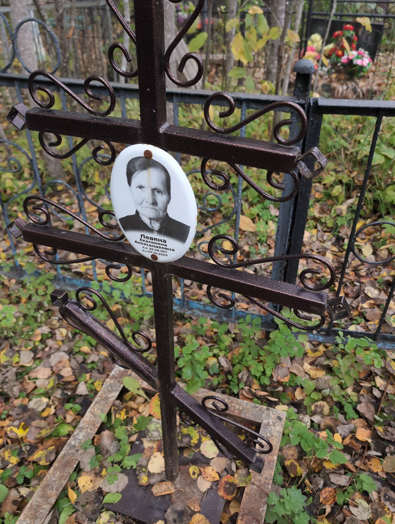 Левина Екатерина Александровна