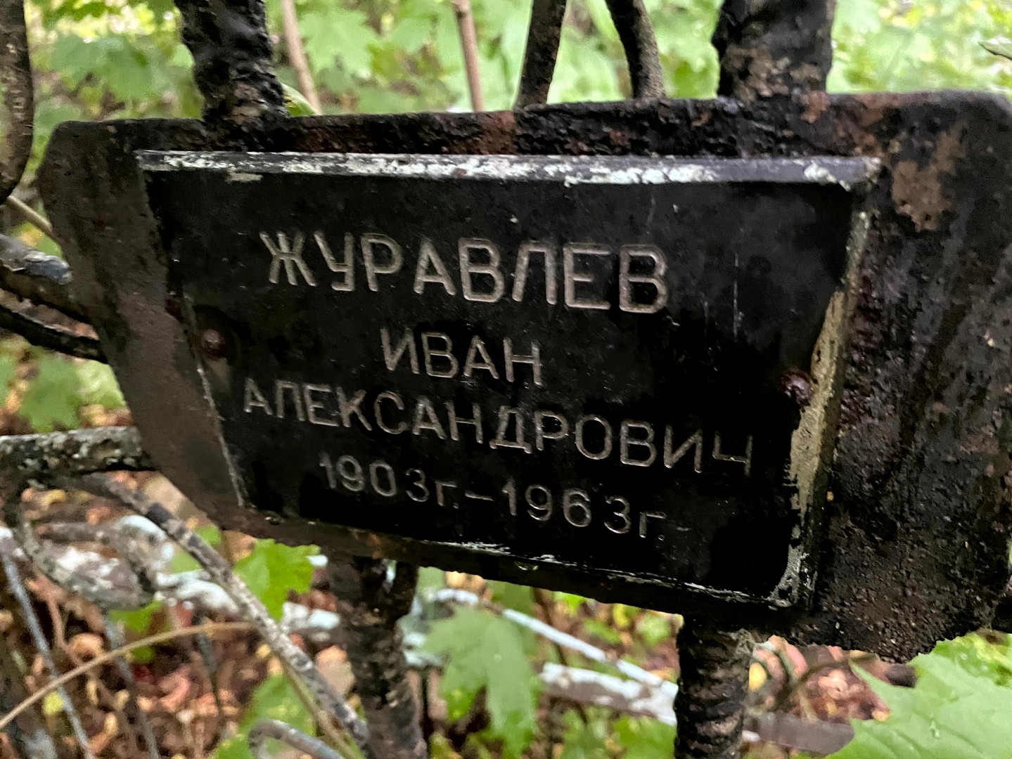 Журавлев