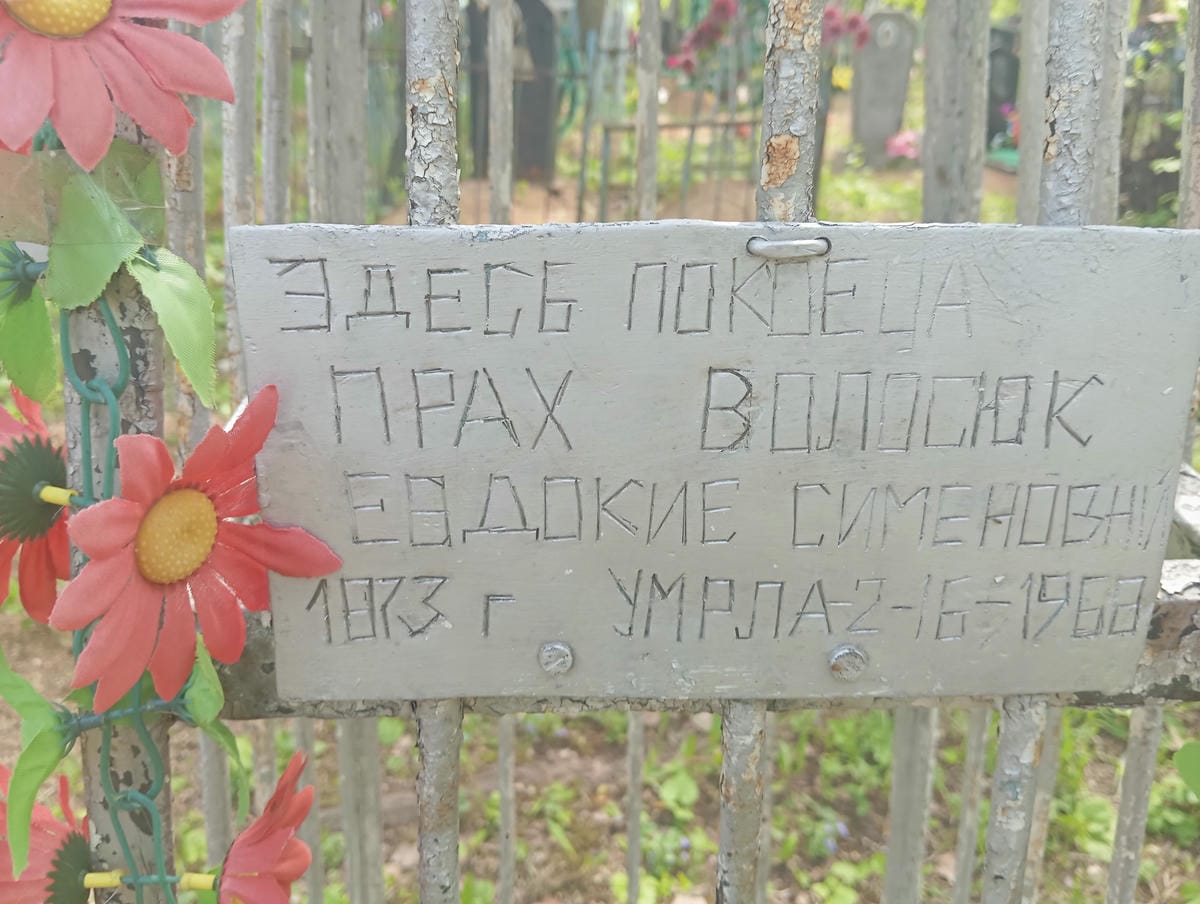 Волосюк Евдокия Сименовна