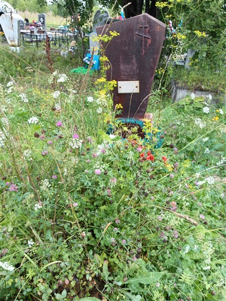 Татаурова Наталья Степановна