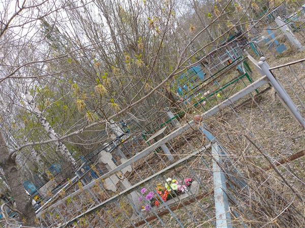 Цветков Владимир Никитович