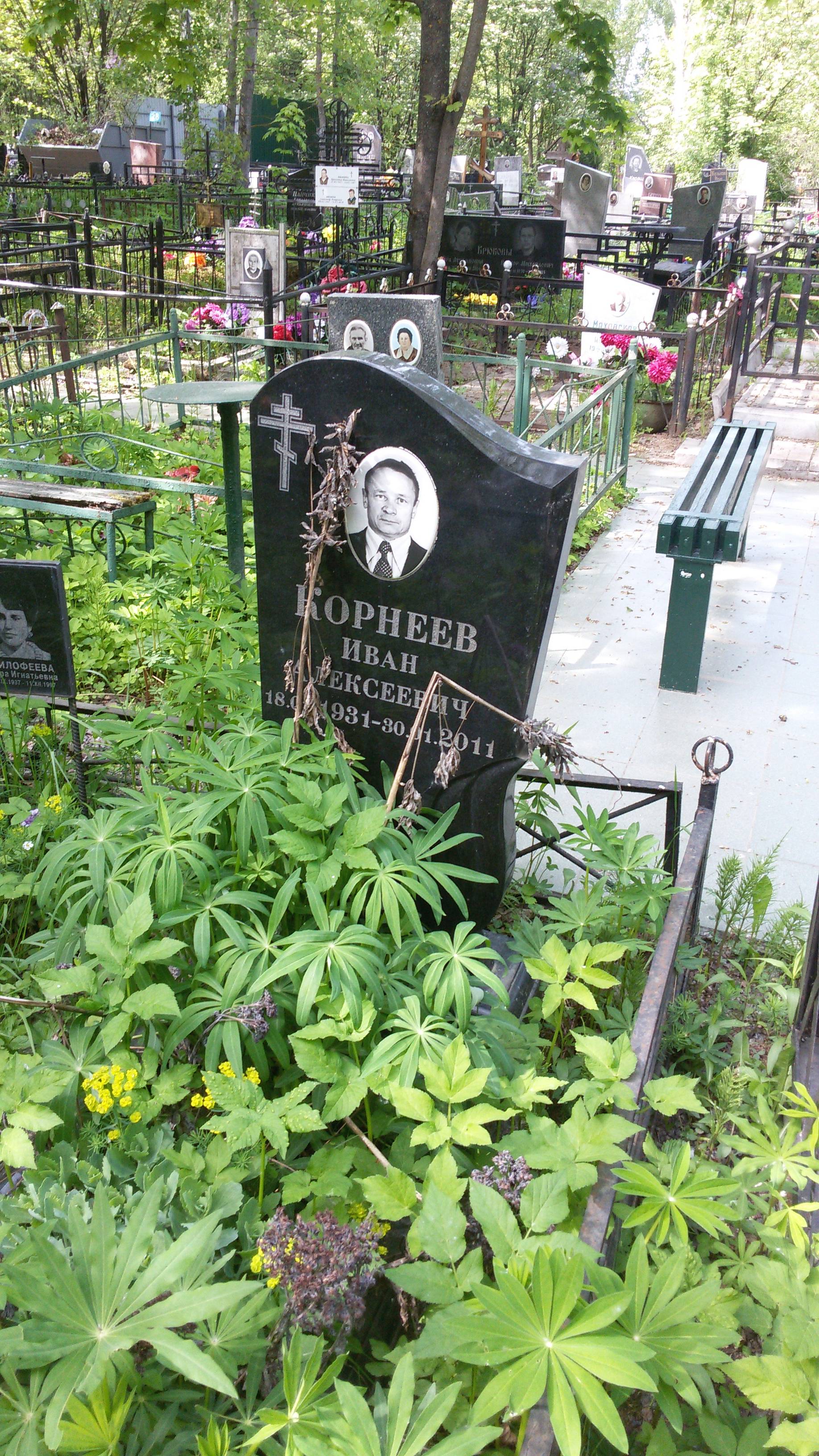 Корнеев Иван Алексеевич